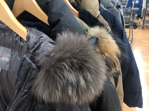 10月　キャンペーン