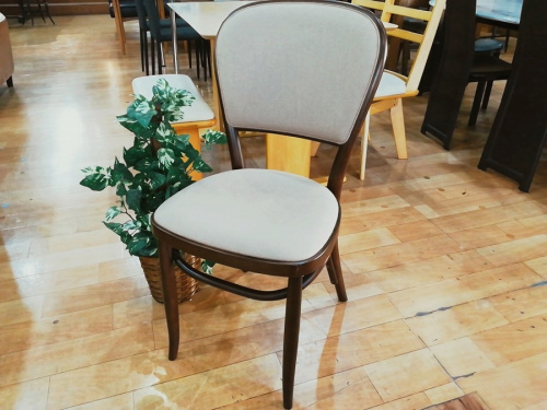 生活家具のイス チェア