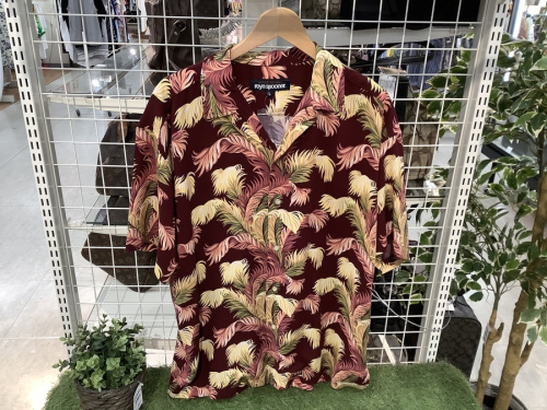 南大沢　八王子　中古のreyn spooner