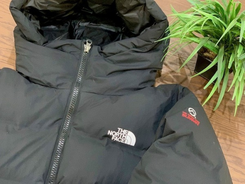 メンズファッションのTHE NORTH FACE ザノースフェイス
