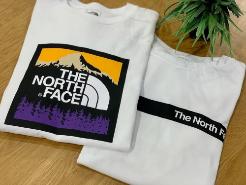 メンズファッションのTHE NORTH FACE