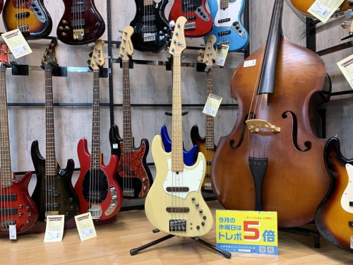 中古楽器店のベース