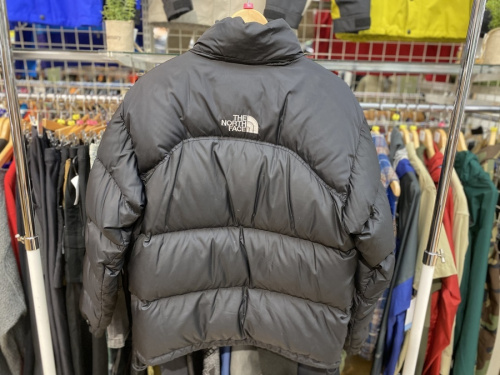 バックセンターロゴ！THE NORTH FACE (ザ ノースフェイス