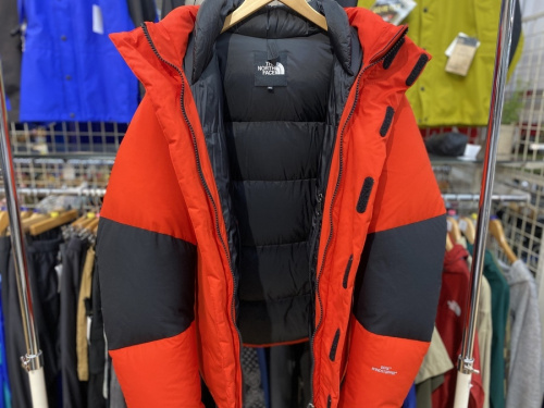 ダウンジャケットのTHE NORTH FACE