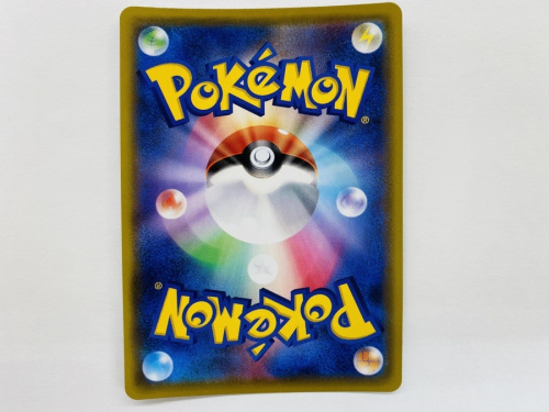 ポケモンのサポート