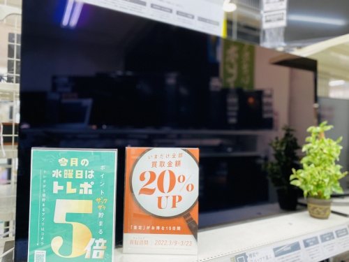 液晶テレビの有機EL