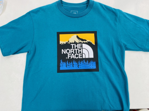 夏物衣類のTHE NORTH FACE