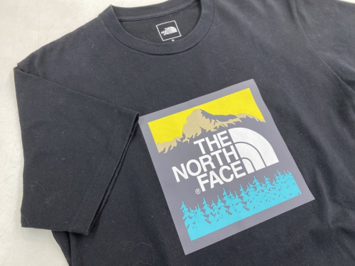夏物衣類のTHE NORTH FACE