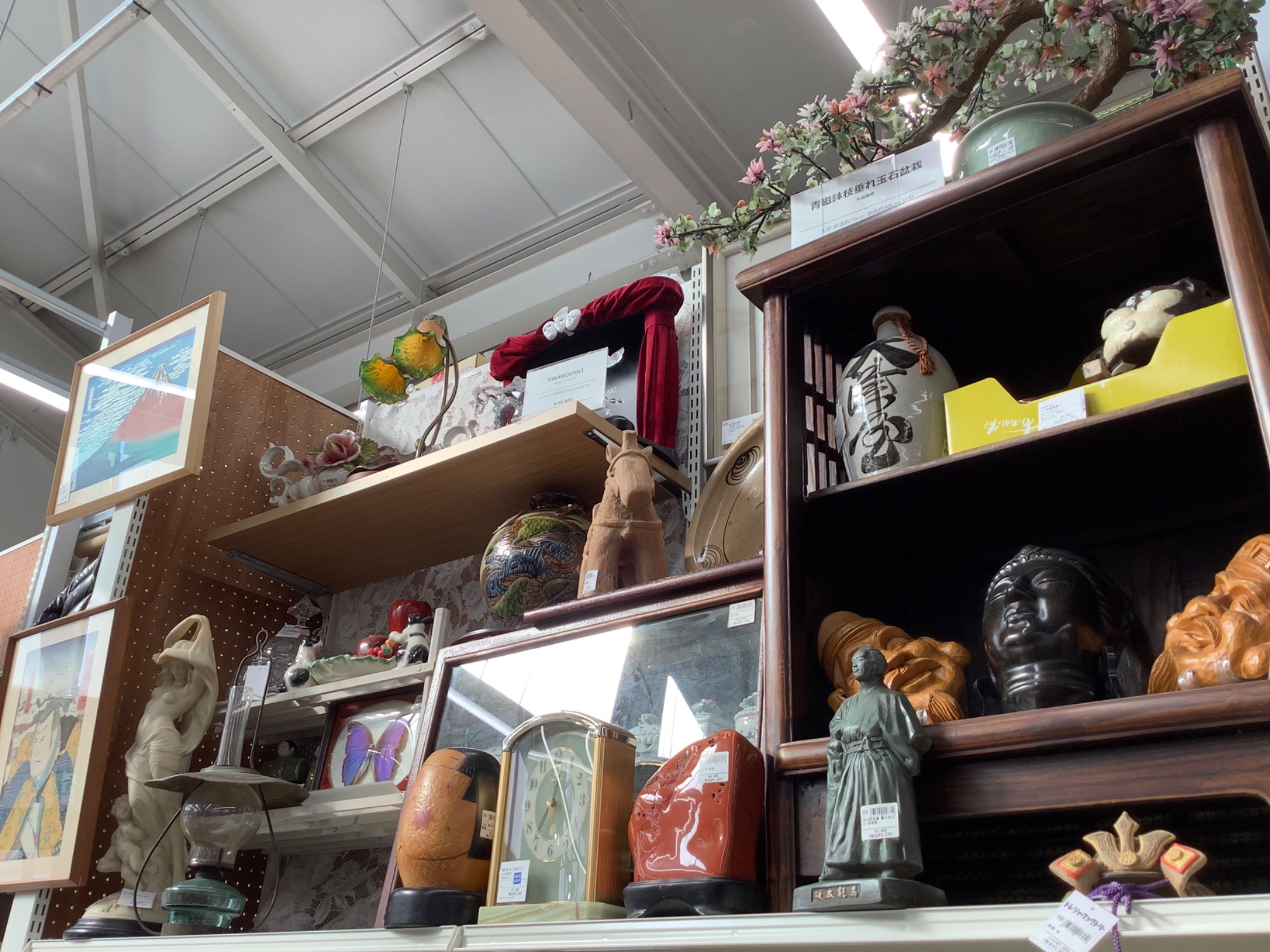 圧倒的な存在感！亀甲石 約24kg 鑑賞石のご紹介です！｜2022年12月17日