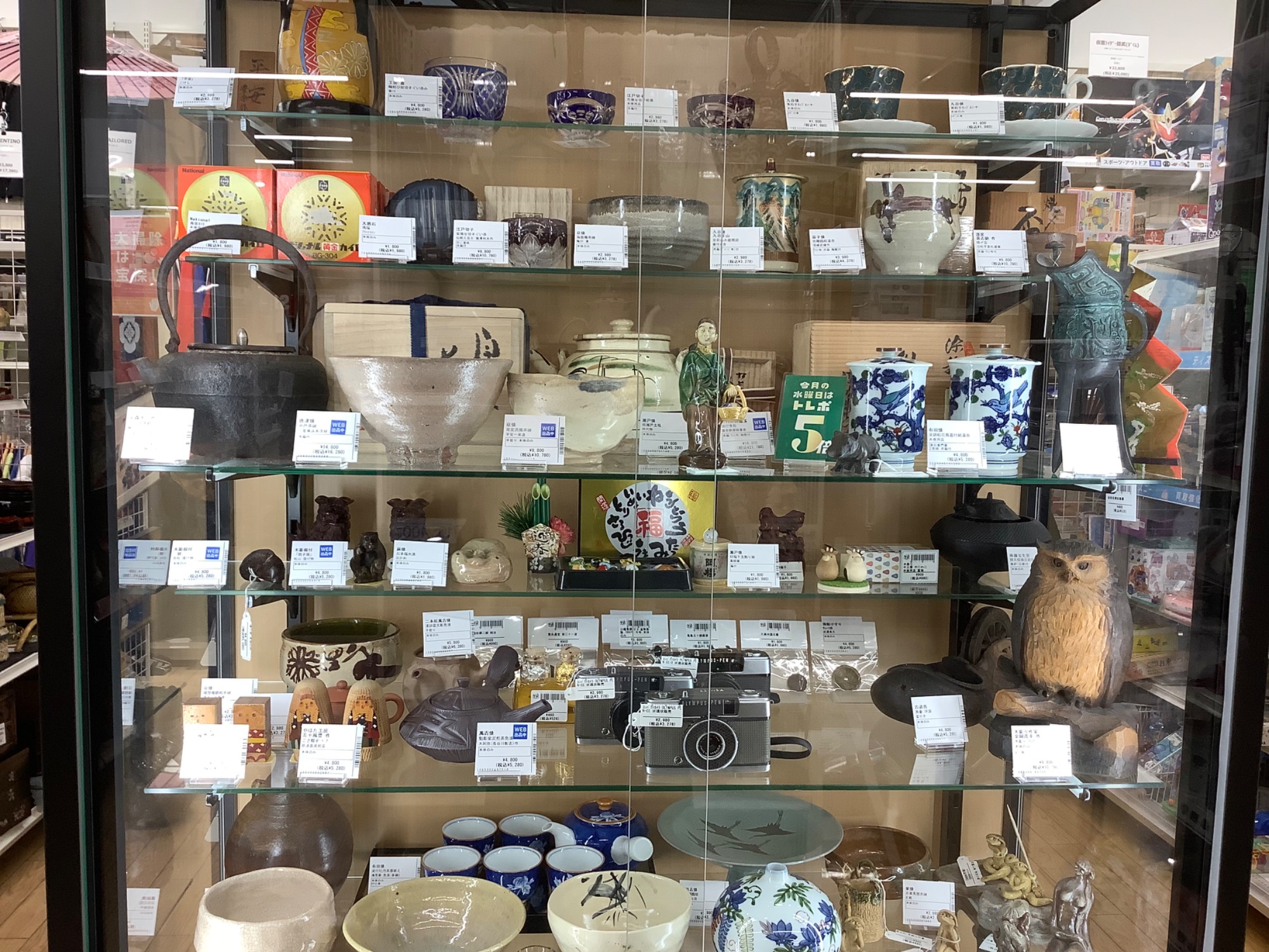 圧倒的な存在感！亀甲石 約24kg 鑑賞石のご紹介です！｜2022年12月17日