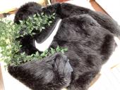 トレファク野田店ブログ