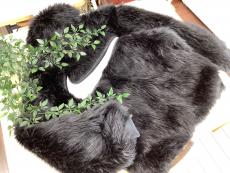 トレファク野田店ブログ