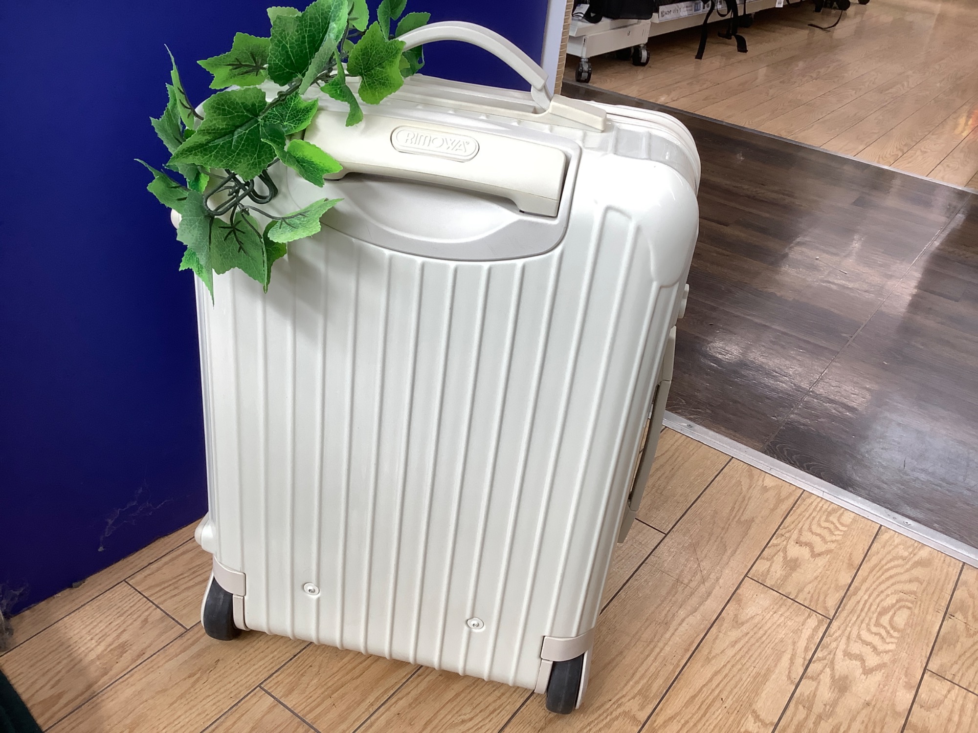 コレクションケース ホワイト ロータイプ【ユーズドユーズ名古屋天白店】 J381 RIMOWA(リモワ）キャリーケースのご紹介です！｜2026年04月11日