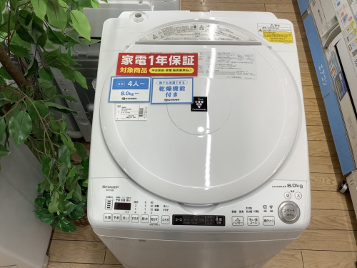 野田 柏 流山 春日部 吉川 越谷 中古 SHARPの江戸川台 運河 梅郷 野田市 愛宕 清水公園 七光台 中古家電