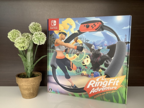 ホビーのゲーム