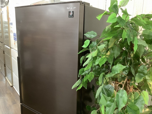 生活家電の冷蔵庫