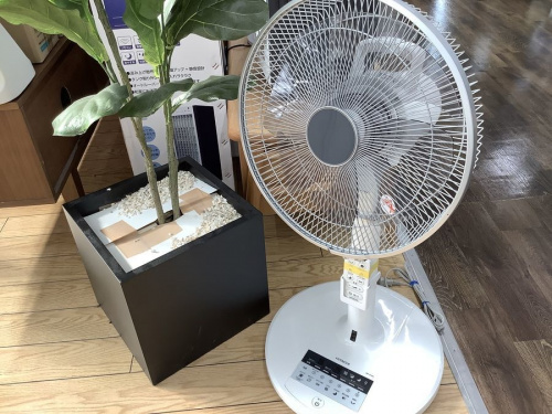 季節家電の扇風機