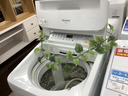 生活家電の洗濯機