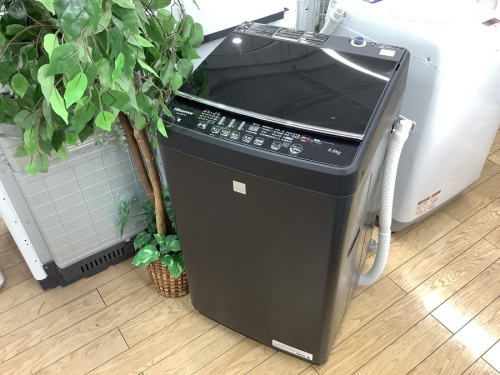 生活家電の洗濯機