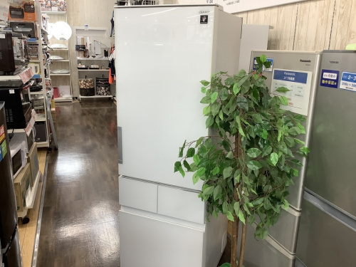 キッチン家電の冷蔵庫