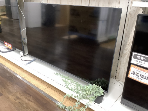 TVの液晶テレビ