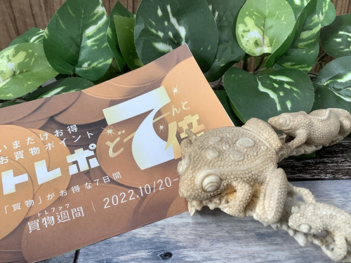 雑貨のインテリア