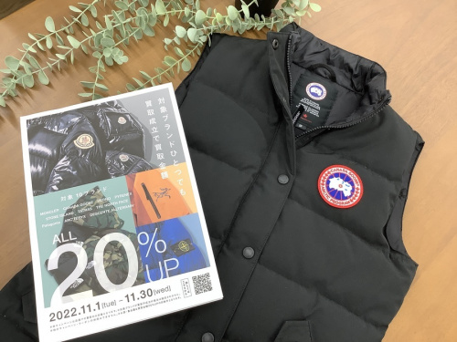 トップスのベスト