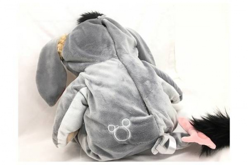 ダッフィのランド