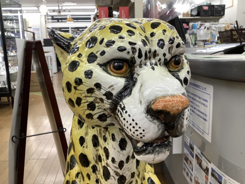 東久留米　中古　雑貨の東久留米　中古　インテリア