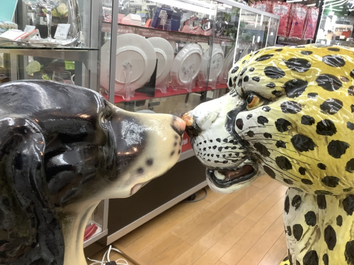 東久留米　の東久留米　買取