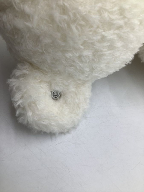 21年02月04日：画像６