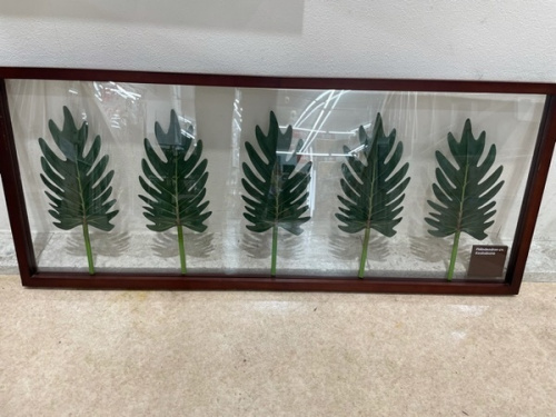 アートフレームの東久留米　家具