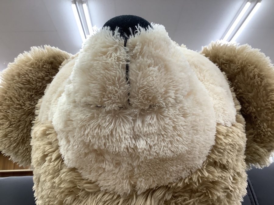 スマホで購入】DISNEY(ディズニー）Duffy(ダッフィー)の特大
