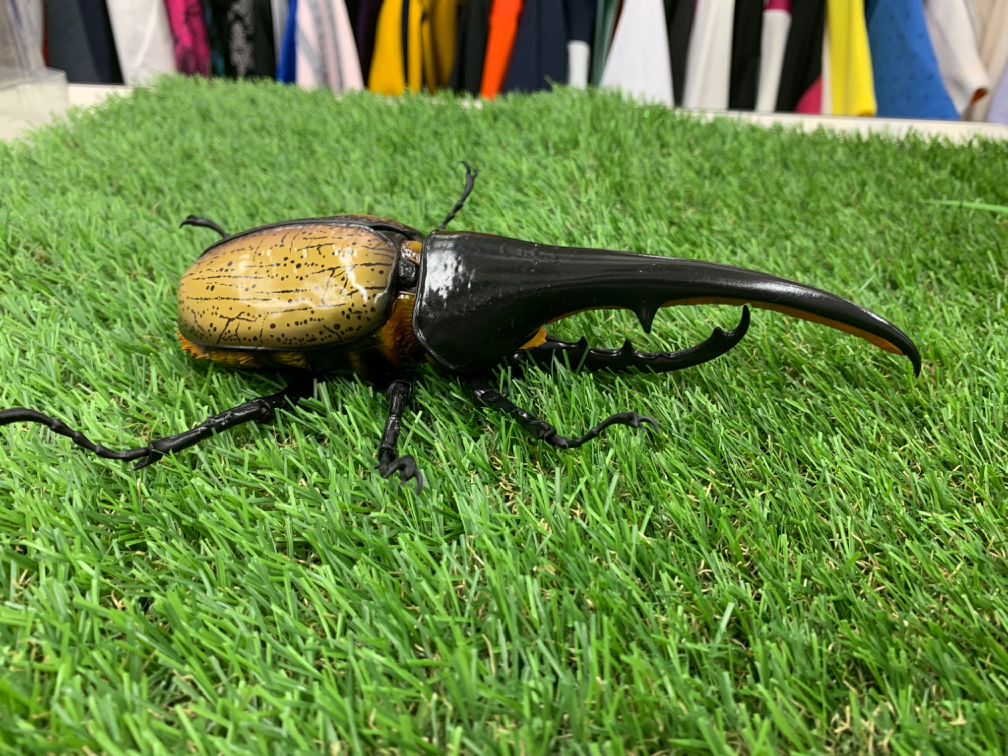 BANDAI(バンダイ) いきもの大図鑑プレミアム ヘラクレスオオカブトを