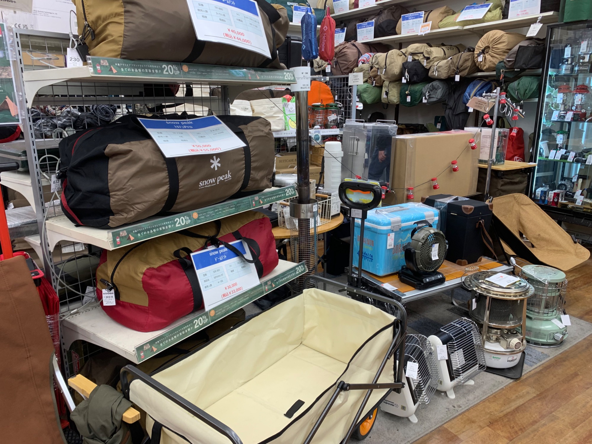 日本未発売モデル!! Coleman コンフォートマスター バンブー