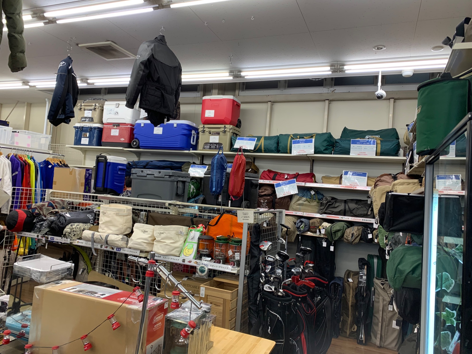 日本未発売モデル!! Coleman コンフォートマスター バンブー