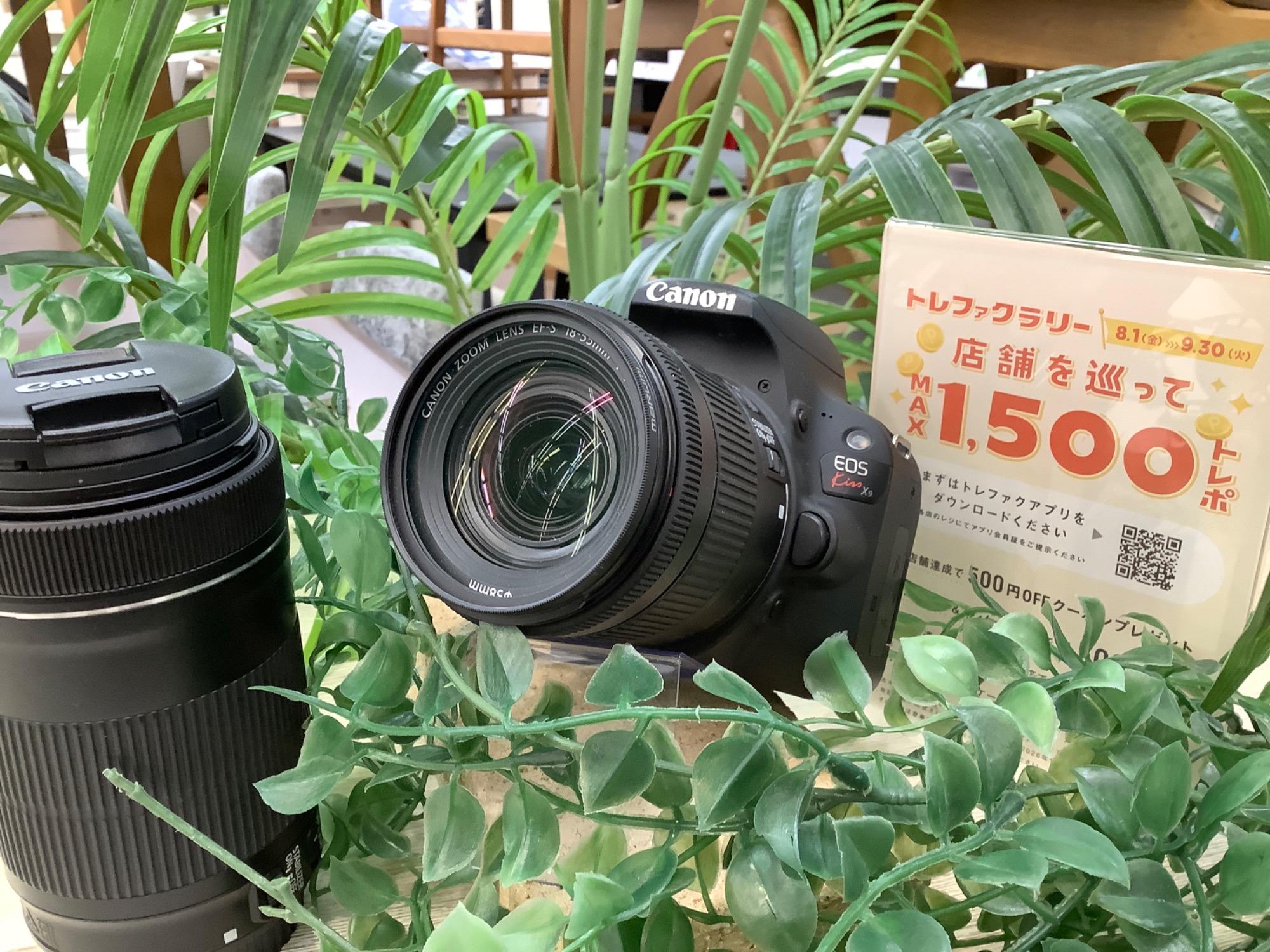 Canon キャノン　カメラ　メンズ　まとめ売り EOS R7・RF-S18-150 IS STM レンズキット：通販 | ミラーレス