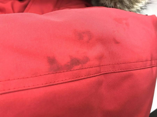 川崎　中古　ダウンのCANADA GOOSE