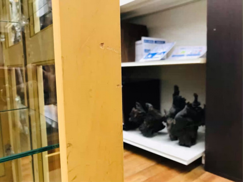 コレクションボードの川崎　青葉　世田谷　鶴見　横浜　中古　家具　買取　