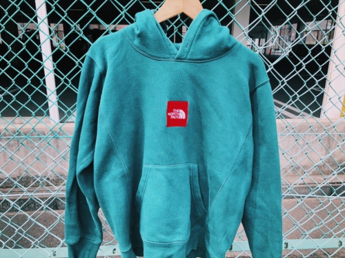パーカーのTHE NORTH FACE