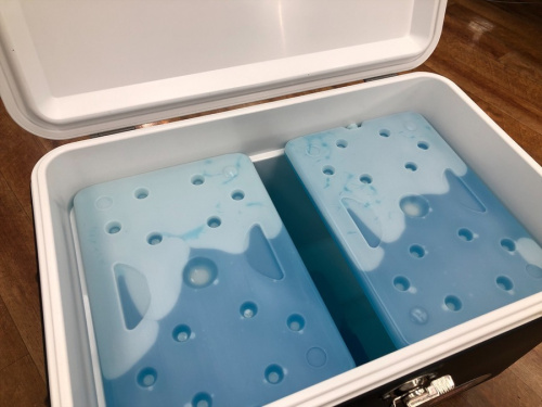 Colemanのコールマン