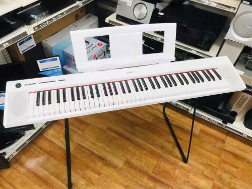 楽器の鍵盤楽器