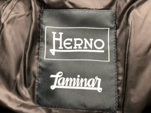 ジャケットのダウンジャケット