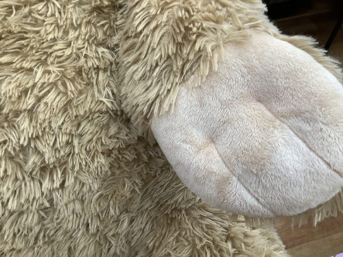 トレファク 川崎野川