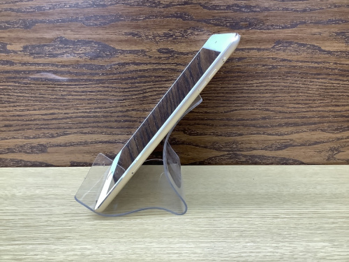 iPadのApple
