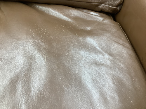 20年11月17日：画像７