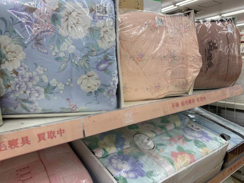 起毛の羽毛