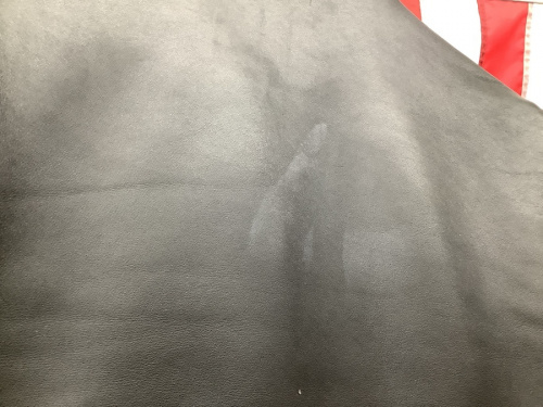 AVIAKITのライダースジャケット