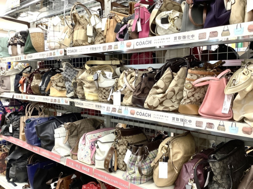 22年07月15日：画像１０