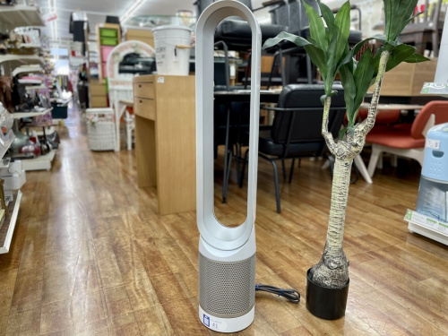 季節家電の扇風機